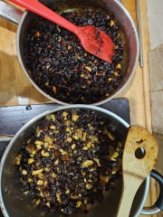 Poncetastic Christmas 2024