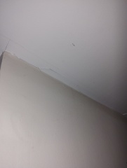 Which trade(s) do I need - plasterer or decorator?