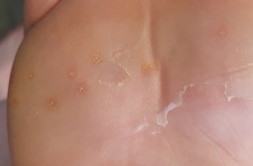 Any idea what these could be?! Pic included!