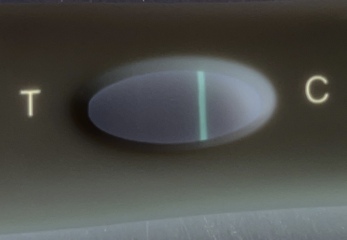 Evap or faint positive?