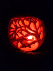Show us your pumpkins!