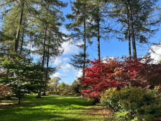 The Autumnal Christmas Chronicles Preamble - Thread 2 further ramblings