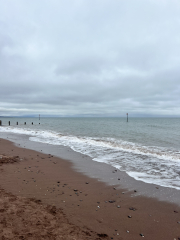 Mounjaro August starters #7