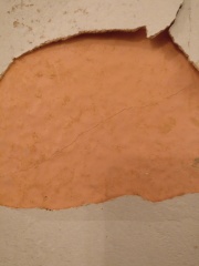 What is this under the wallpaper?
