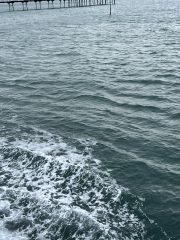 Mounjaro August starters #7