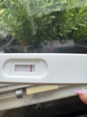 Lines eyes if no one minds