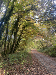 Come and tell me your dull and unexciting news 31: Calmly through the day