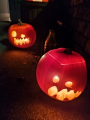 Show us your pumpkins!