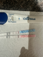 BBT Drop - 9DPO