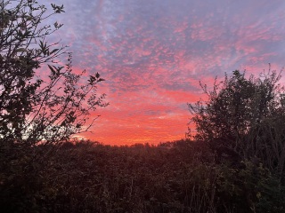 Season of mist and mellow fruitfulness...and ramping up those Christmas preparations! Countdown to Christmas 2024 (thread 3) (title edited by MNHQ @request of OP)