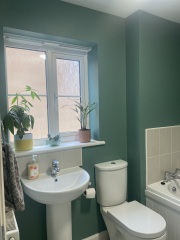 What colour to paint my bathroom (also vinyl floor suggestions please)