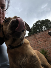 Adolescent Dog Survival...Sharing Tips & Tails