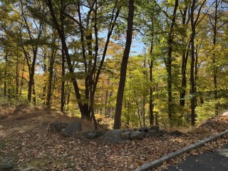 Come and tell me your dull and unexciting news 31: Calmly through the day