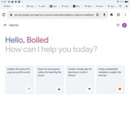 Bluestocking! The Gerbical