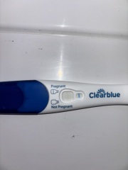 Positive pregnancy test?