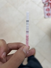 1DPO - join the TWW