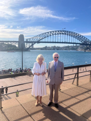 Royal Style: Welcome to the Court of the Dragon Queen!