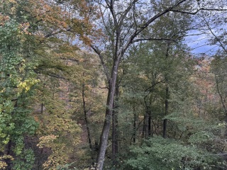 Come and tell me your dull and unexciting news 31: Calmly through the day