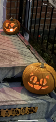 Show us your pumpkins!