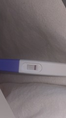 Is this early pregnancy