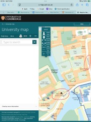 Bluestockings & Orange Wellies: Welcome to the Degu Station!