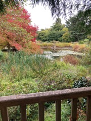 Come and tell me your dull and unexciting news 31: Calmly through the day