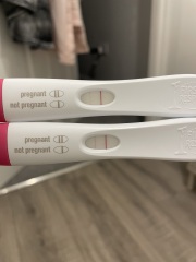 Do you see this line?