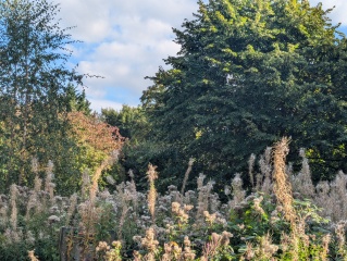 The Autumnal Christmas Chronicles Preamble - Thread 2 further ramblings