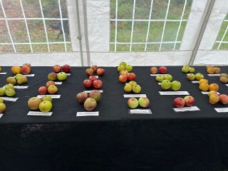 The Autumnal Christmas Chronicles Preamble - Thread 2 further ramblings