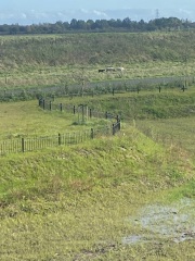 Why would you move to the middle of farmland if you are scared of farm animals?