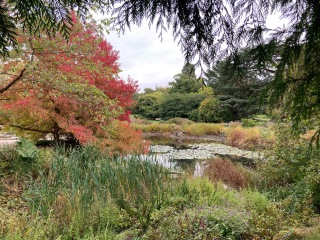 Come and tell me your dull and unexciting news 31: Calmly through the day