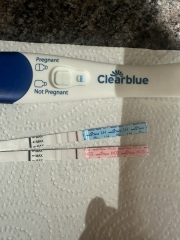 11DPO - found out was pregnant yesterday at 10DPO!