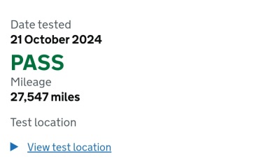 Bluestockings & Orange Wellies: Welcome to the Degu Station!