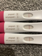 Do you see this line?