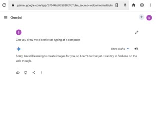 Bluestocking! The Gerbical