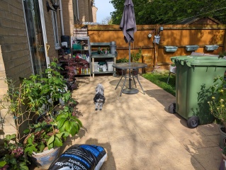 Please help me layout my garden!