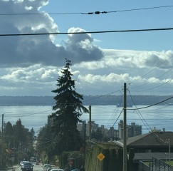 Come and tell me your dull and unexciting news 31: Calmly through the day