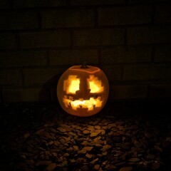 Show us your pumpkins!
