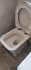 Does anyone know what toilet this is ?