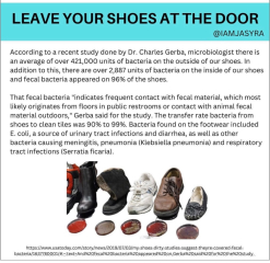 I thought it would be easier to find a nursery with a no outdoor shoes policy !!
