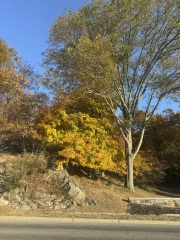 Come and tell me your dull and unexciting news 31: Calmly through the day