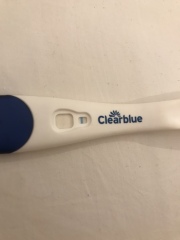 Clear blue evap/indent lines
