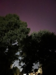 Northern Lights