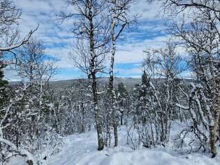 The Autumnal Christmas Chronicles Preamble - Thread 2 further ramblings