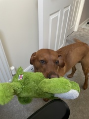 Season of mist and mellow fruitfulness...and ramping up those Christmas preparations! Countdown to Christmas 2024 (thread 3) (title edited by MNHQ @request of OP)