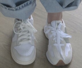 Which trainers