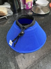 Flounders or Flouncers? The Excellent Cats continue their important debate