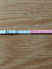 Positive OPK.