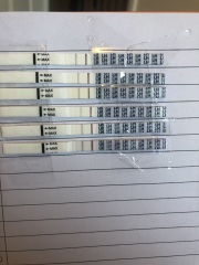 Weird LH test results