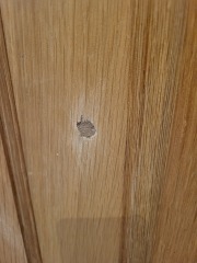 Damaged door how to disguise hole...posting for traffic